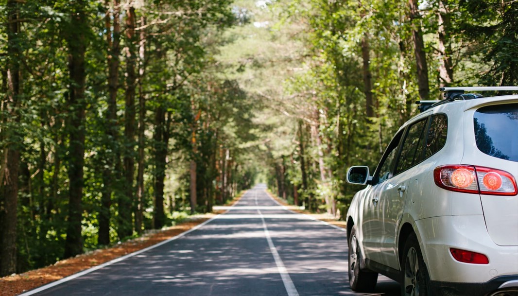 Condução automóvel no verão