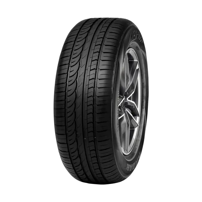 255/60R17 110V XL RPX-800+