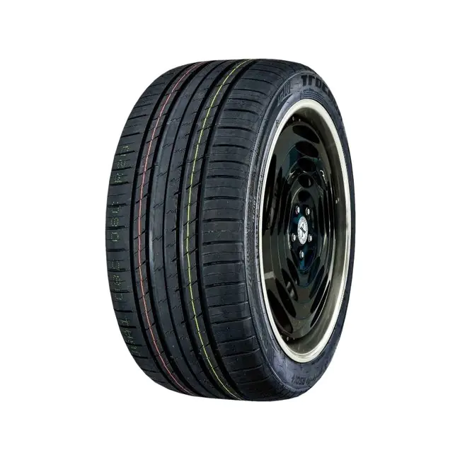 275/55ZR20 117W XL X-PRIVILO RS01